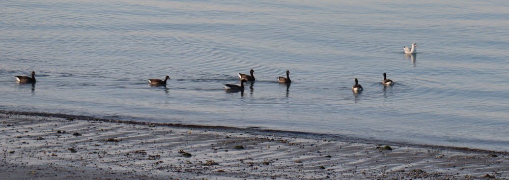 aIMG 9149