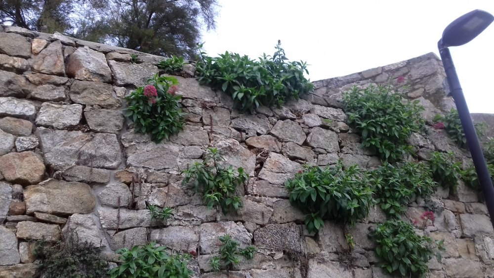 d20211019 091954
