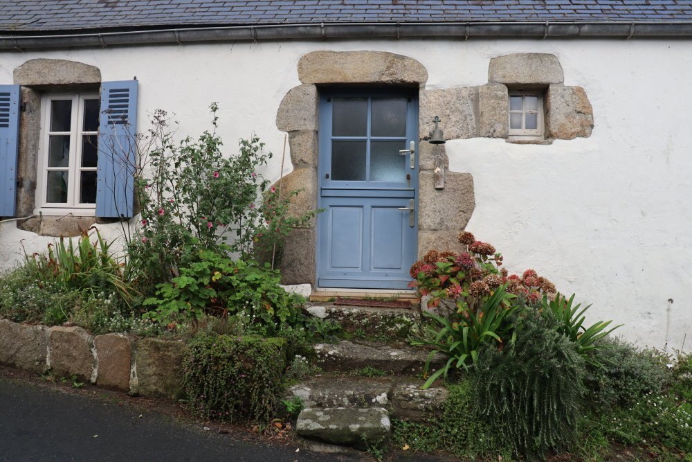 dIMG 9294