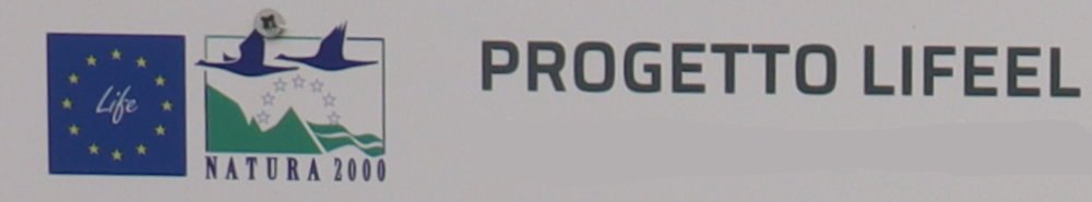 aIMG 0371b