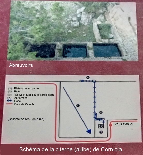 aIMG 20230916 135841
