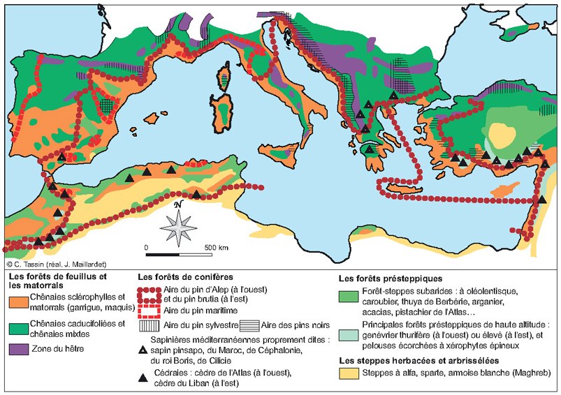 forets mediterranee