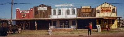 Horse Hotel