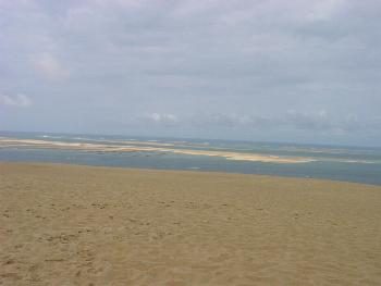Banc d'Arguin