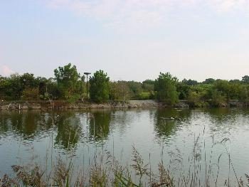 Bassin du Parc Ornithologique