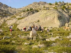 Dernière halte sur le plancher des vaches