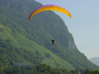 Parapente au-dessus de la forêt