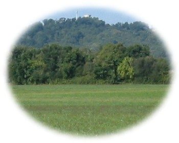 Prairie, forêt et château d'eau