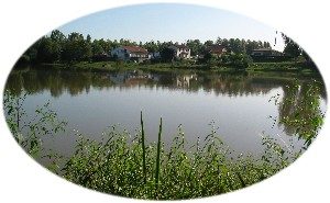 Reflets sur l'Adour