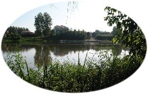 Reflets dans l'Adour